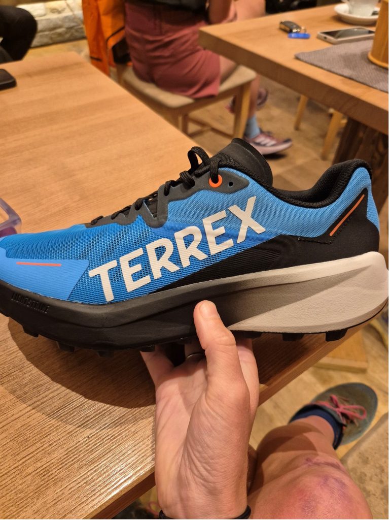 A blue trail running trainer with TERREX written across these