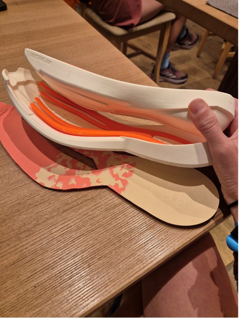 Pieces from the in and mid sole of a trainer