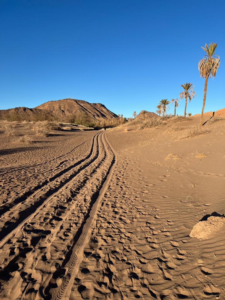 The Sahara Trail 1