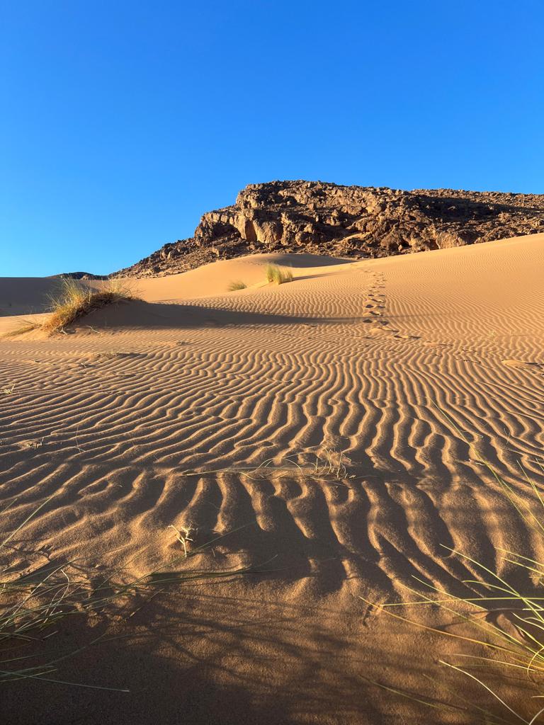 The Sahara Trail 2
