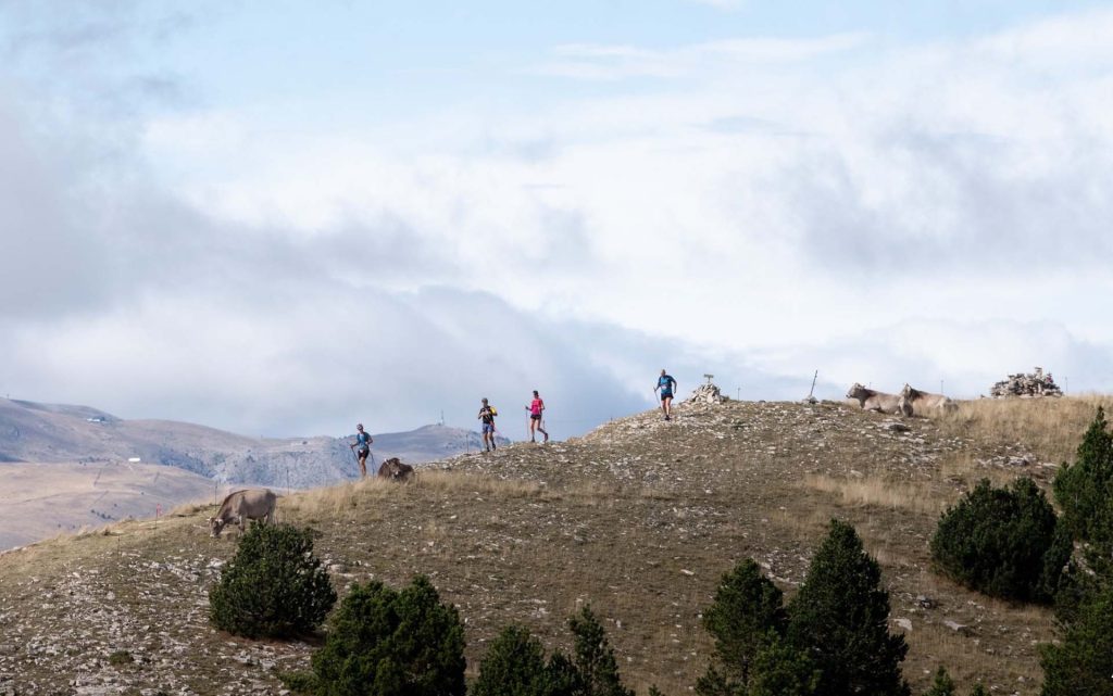 Brama-Stage-Run-@Lluis-Toll_20
