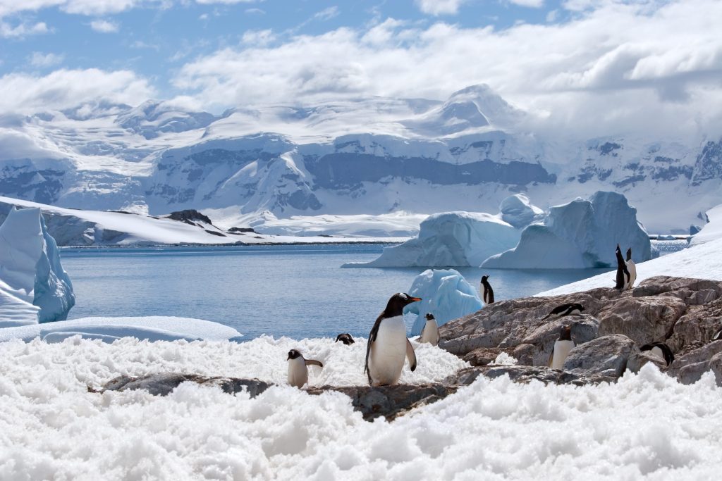 AntarcticaPeninsula3-1
