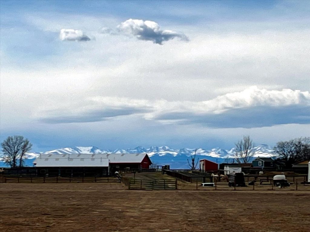 luvin-arms-rockies-Copy